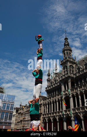 Brussels, Belgium. 8th June, 2014. Castellers de Vilafranca building a Castell, or traditional human tower, in the Grand Place, Brussels, on June 8 2014 as part of a day or actions across Europe calling for Catalan independence from Spain. A referendum on the issue is being called for on November 9 2014, but is being blocked by the Spanish government. Similar castell events were helping in Berlin, Geneva, Lisbon, London, Paris, Rome and Barcelona. Credit:  deadlyphoto.com/Alamy Live News Stock Photo