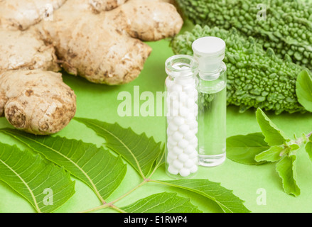 Homeopathic medicine (pills, liquid homeopathic extract) pictured with homeopathic herbs (ginger, bitter gourd, neem, basil). Stock Photo