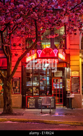 Historic Chinatown lit up at night-Victoria, British Columbia, Canada. Stock Photo