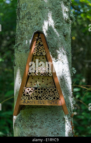 A frame nesting box for bees, ladybirds and other insects. Stock Photo