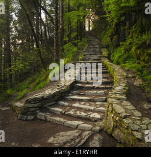 Concrete stairs in Killarney National park Stock Photo