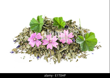 Dried mallow with flowers isolated on white Stock Photo