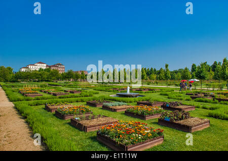 Turin, Italy. 08th June, 2014. Italy Piedmont Venaria Reale, The reggia From the Garden Credit:  Realy Easy Star/Alamy Live News Stock Photo