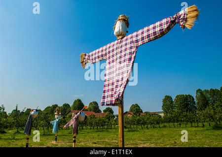 Turin, Italy. 08th June, 2014. Italy Piedmont Venaria Reale The garden of Reggia, scarecrow Credit:  Realy Easy Star/Alamy Live News Stock Photo