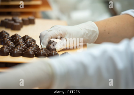 Workers at the Swiss chocolate factory of Lindt & Spruengli in Zurich / Kilchberg are sorting and packaging chocolate candies. Stock Photo