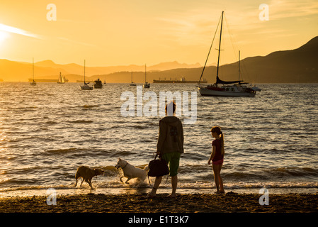 Hadden Park beach an official dog off-leash area, Vancouver, British Columbia, Canada Stock Photo