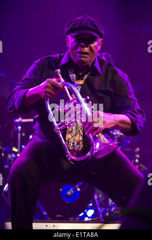 Hugh Masekela, South African jazz legend playing with his band at Hay Festival 2014 ©Jeff Morgan Stock Photo