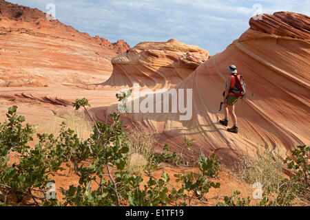 Hiker in the Wave, North Coyote Buttes, Paria Canyon-Vermilion Cliffs Wilderness Area, Utah, United States of America Stock Photo