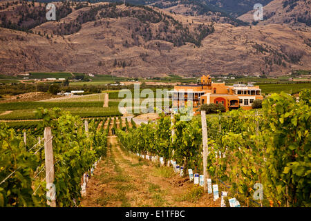 Burrowing Owl Estate Winery near  Oliver, Okanagan Valley, BC, Canada. Stock Photo