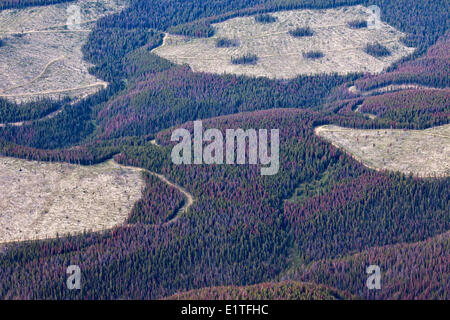 Aerial photography over the South Cariboo Chilcotin region of British Columbia Canada Stock Photo