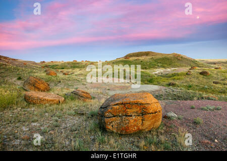 Sandstone concretions in Red Rock Coulee Natural Area, Alberta, Canada Stock Photo