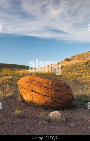 Sandstone concretions in Red Rock Coulee Natural Area, Alberta, Canada Stock Photo