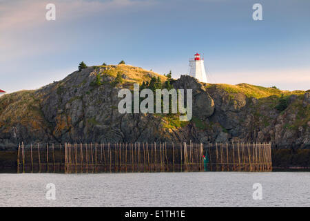 Weir net off Swallowtail Lighthouse, Grand Manan Island, Bay of Fundy, New Brunswick, Canada Stock Photo