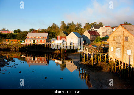 Fishing shed reflected in harbour at low tide, Seal Cove, Grand Manan Island, Bay of Fundy, New Brunswick, Canada Stock Photo