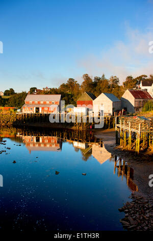 Fishing shed reflected in harbour at low tide, Seal Cove, Grand Manan Island, Bay of Fundy, New Brunswick, Canada Stock Photo