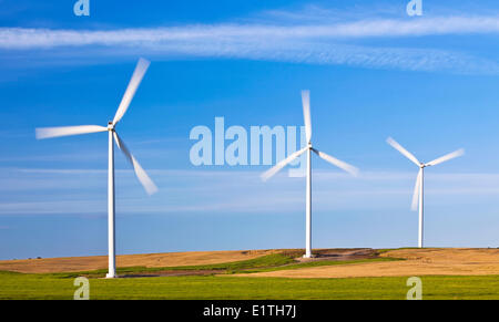 Wind energy turbines, motion blurred blades, St. Leon, Manitoba, Canada