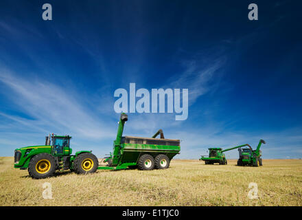 combine harvesters unload into grain wagons during the canola harvest, near Kamsack, Saskatchewan, Canada Stock Photo