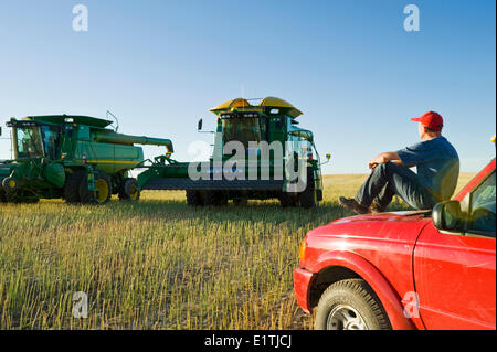 a man relaxes on his pick up truck during the canola harvest near Hodgeville, Saskatchewan, Canada Stock Photo