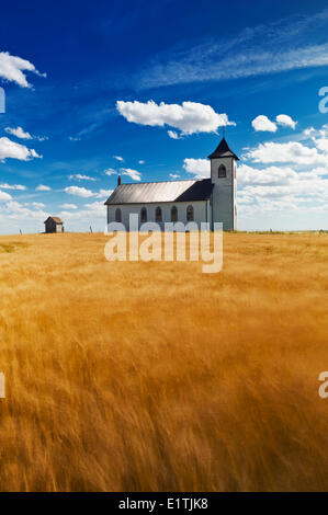 mature harvest ready durum wheat field with St. Elizabeth Roman Catholic Church in the background near Gravelburg Saskatchewan Stock Photo