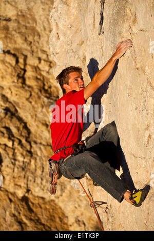 A man climbs the sport route Fire in the Sky 12b at sunset, Echo Canyon, Canmore, Alberta, Canada Stock Photo