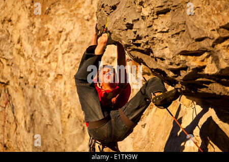 A man climbs the sport route Fire in the Sky 12b at sunset, Echo Canyon, Canmore, Alberta, Canada Stock Photo