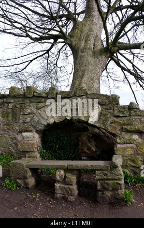 Wall built around tree roots near Roslin Castle, Midlothian, Scotland. Stock Photo