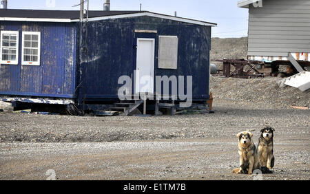 Resolute Bay, Nunavut, Canada Stock Photo: 70014705 - Alamy