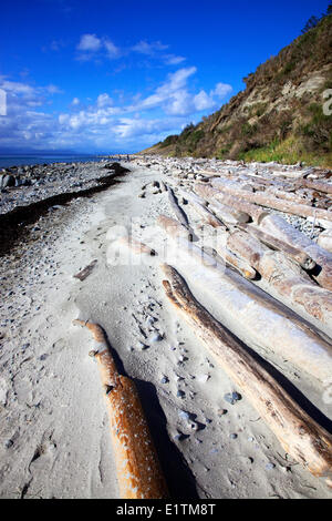 Savary Island, Windswept beach, Hiking, Sinshine Coast, Strait of Georgia, British Columbia, Canada Stock Photo