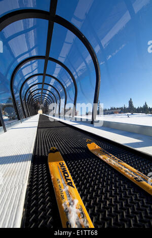 The newly installed magic carpet ride at Mt. Washington Courtenay The Comox Valley Vancouver Island British Columbia Canada. Stock Photo