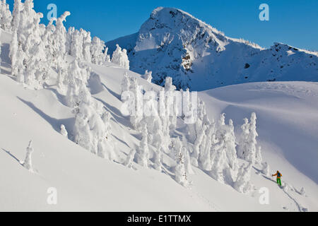 A male backcountry snowboarder  skinning to the backcountry at Revelstoke Mountain Resort, Revelstoke, BC Stock Photo