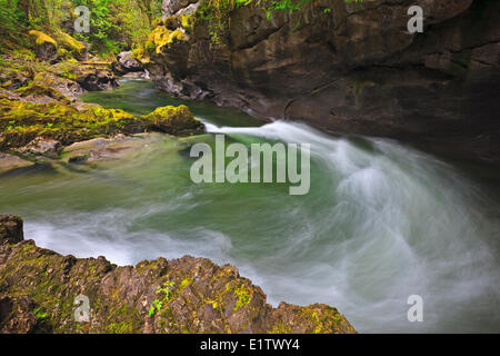 Long exposure Atluck Creek winding through the limestone rainforest in Little Huson Cave Regional Park on Northern Vancouver Stock Photo