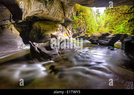 HDR photo of Dinosaur Rock in Little Huson Cave in Little Huson Cave Regional Park, Vancouver Island, British Columbia, Canada. Stock Photo