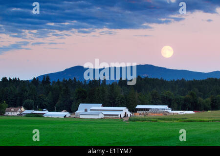 A full moon rises over a farm in Cowichan Station, near Duncan, BC. Stock Photo