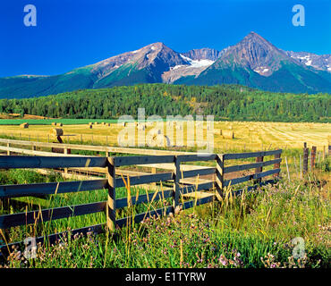 Hudson Bay Mountain, hay harvest near Smithers in British Columbia, Canada. Stock Photo