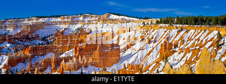 Panorama photo the natural amphitheater with hoodoos rock formations covered with snow in Bryce Canyon National Park in winter Stock Photo