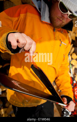 A backcountry skier puts his skins on to go for a tour.  Icefall Lodge, Canadian Rockies, Golden, BC Stock Photo