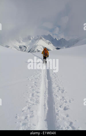 A male backcountry skier ski tours back to the lodge after a sunny day in the Candian Rockies.  Icefall Lodge, Golden, BC Stock Photo
