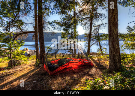 The evening sun shines through a kayaker's tent on Read Island located between Quadra Cortes Island British Columbia Canada Stock Photo