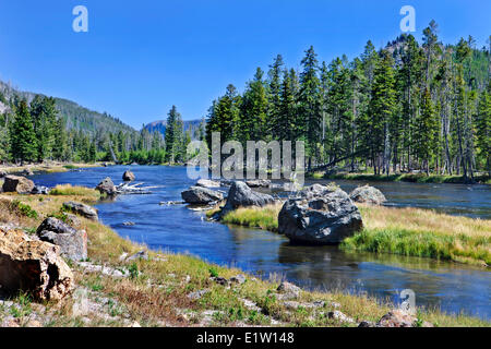 Madison River, Yellowstone National Park, Wyoming, USA Stock Photo - Alamy