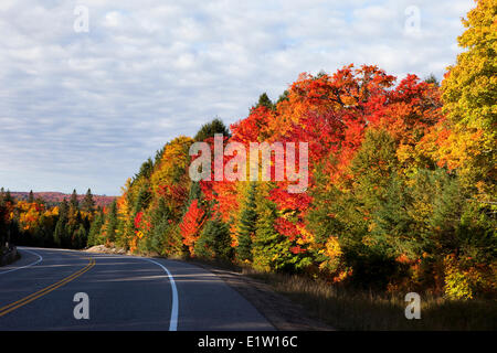 Autumn Colours in Algonquin Provincial Park, Ontario, Canada Stock Photo