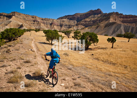 A male mountain biker riding the epic Edge Loop in 40 degree celsius heat, Fruita, CO Stock Photo