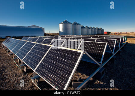 Solar panels on farm near Calgary, Alberta, Canada. Stock Photo