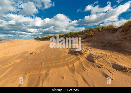 Sand dunes, Blooming Point, Prince Edward Island, National Park, Canada ...