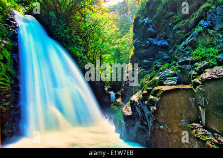 Waterfall in cloud forest, La Paz Waterfall Gardens, Costa Rica Stock Photo