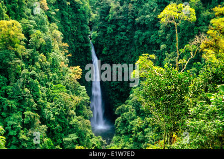 Waterfall in cloud forest, La Paz Waterfall Gardens, Costa Rica Stock Photo
