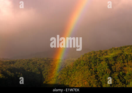 Rainbow over Monteverde Cloud Forest Reserve, Costa Rica Stock Photo