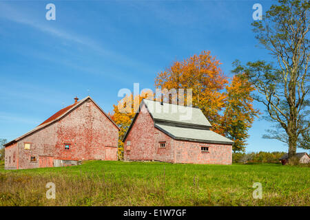 Barns, West Clifford, Lunenburg, Nova Scotia, Canada Stock Photo
