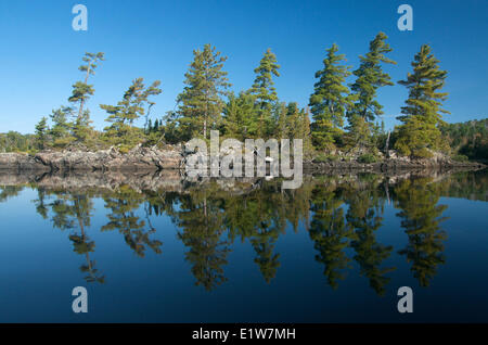 Lake, boreal forest and island of Canadian Shield rock in Quetico Stock ...