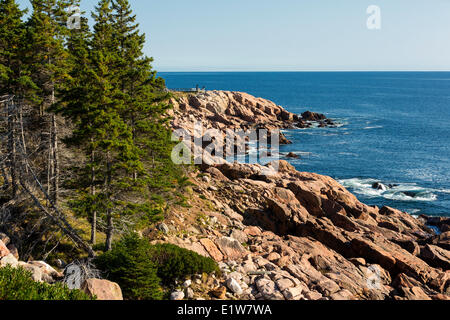 Bear Cove, Cape Breton Highlands National Park, Cabot Trail, Cape Breton, Nova Scotia, Canada Stock Photo