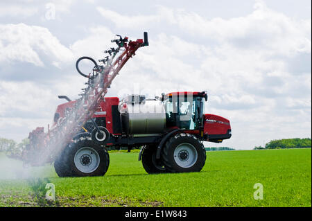 A high clearance sprayer applies a chemical application of herbicide to early growth wheat near Dugald, Manitoba, Canada Stock Photo